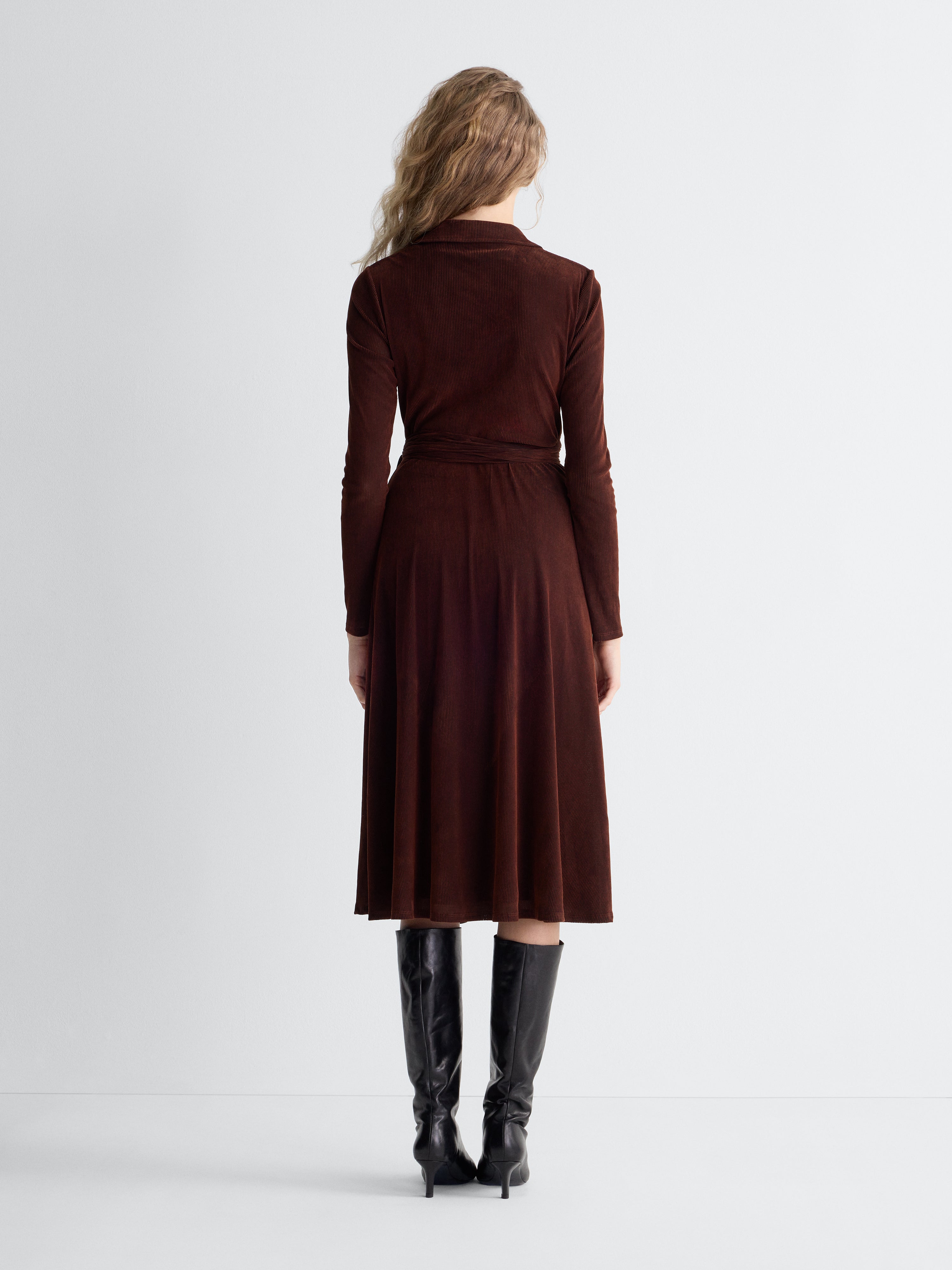 Phoenix Velvet Dress