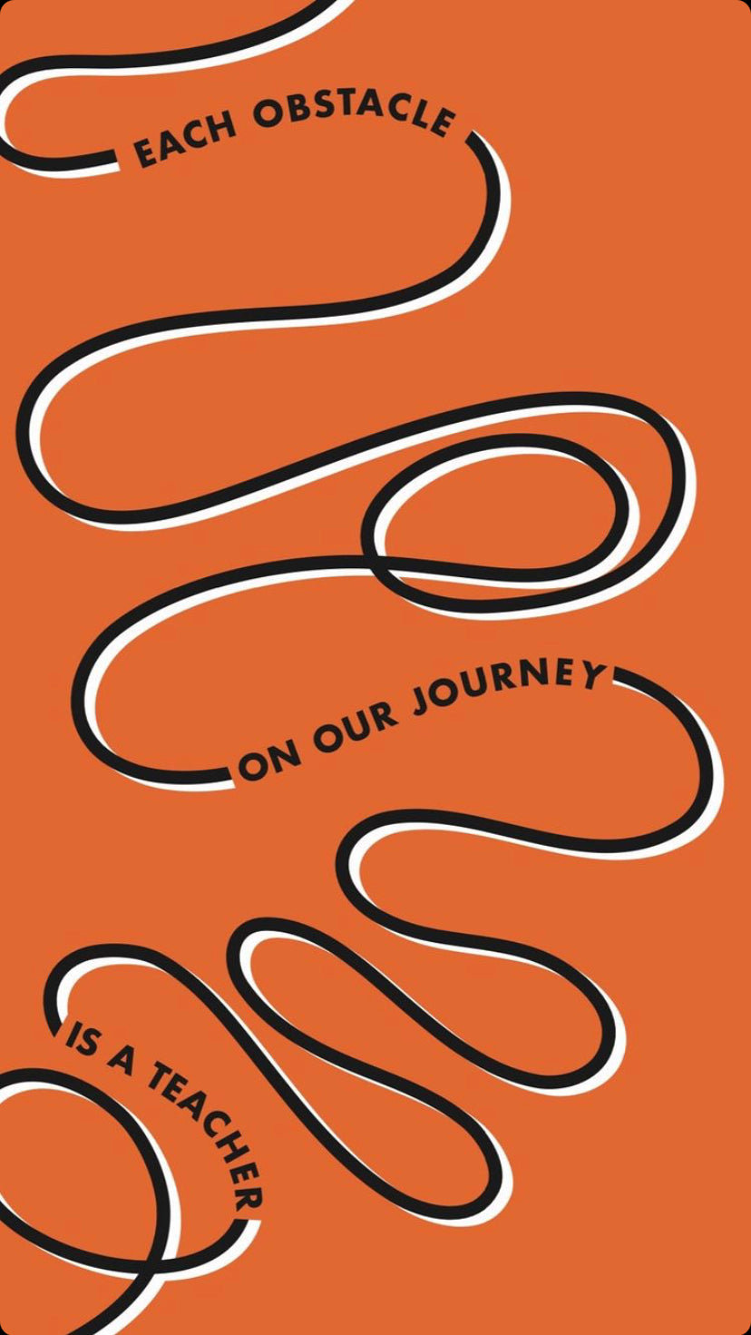 Book Own It: The Secret To Life Hand Signed Paperback Book "NEW BOOK"