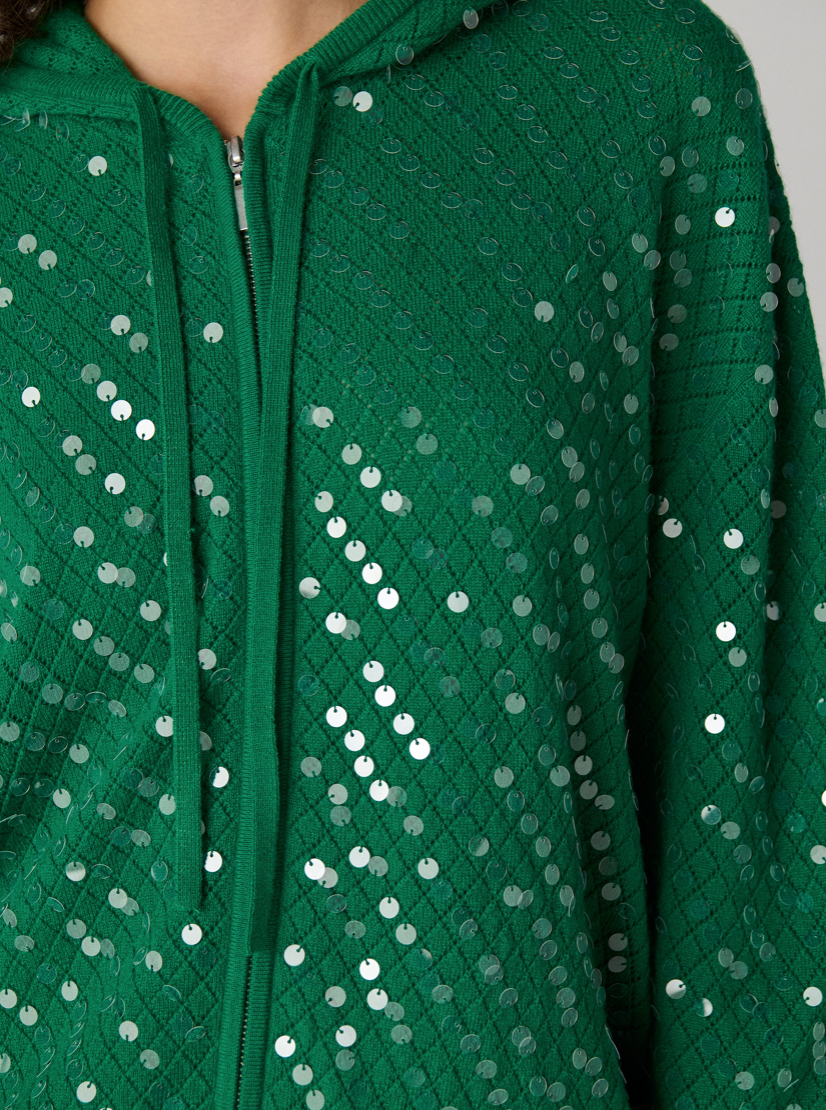 Marco Wool Sequin Hoodie