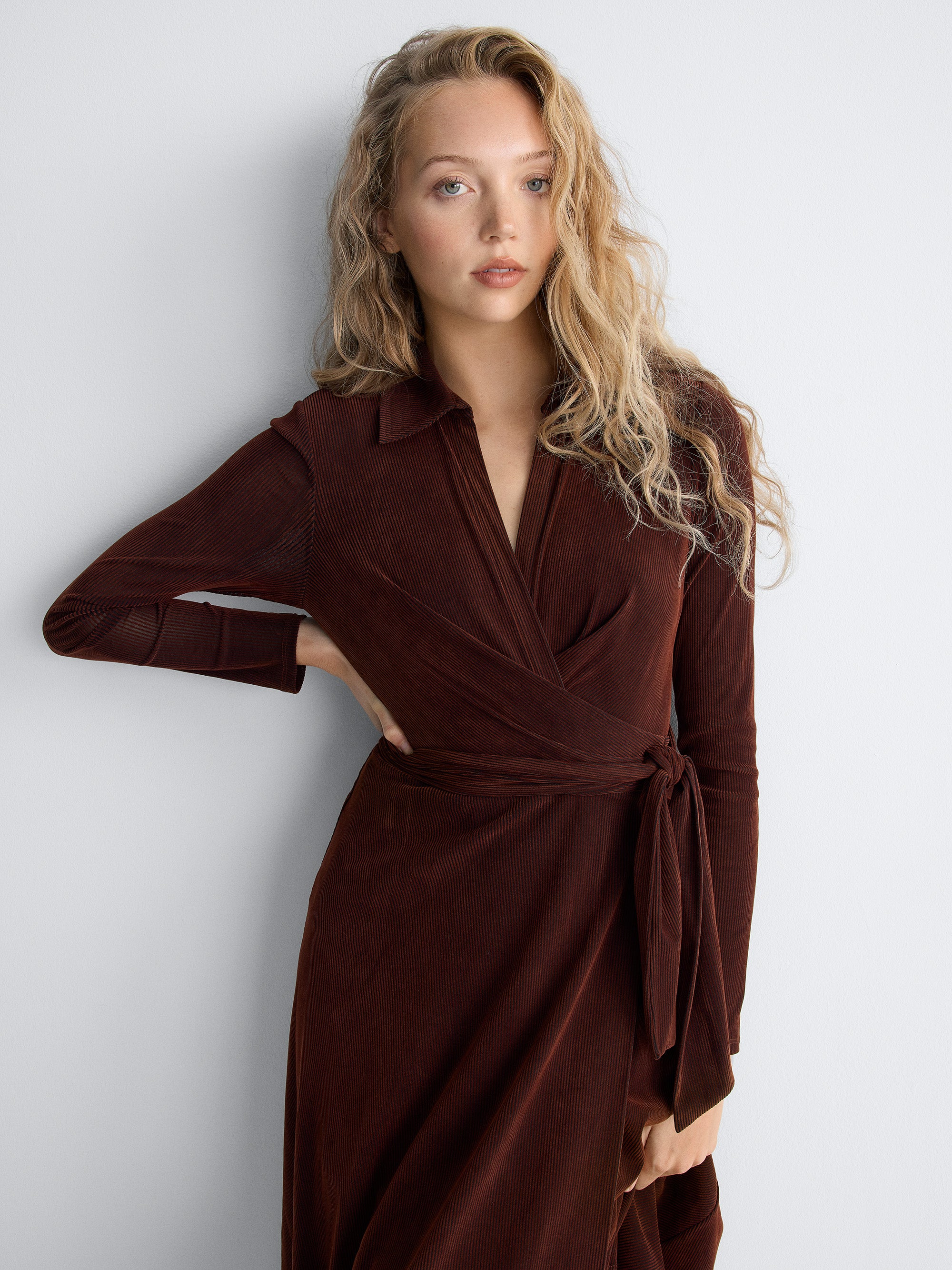 Phoenix Velvet Dress